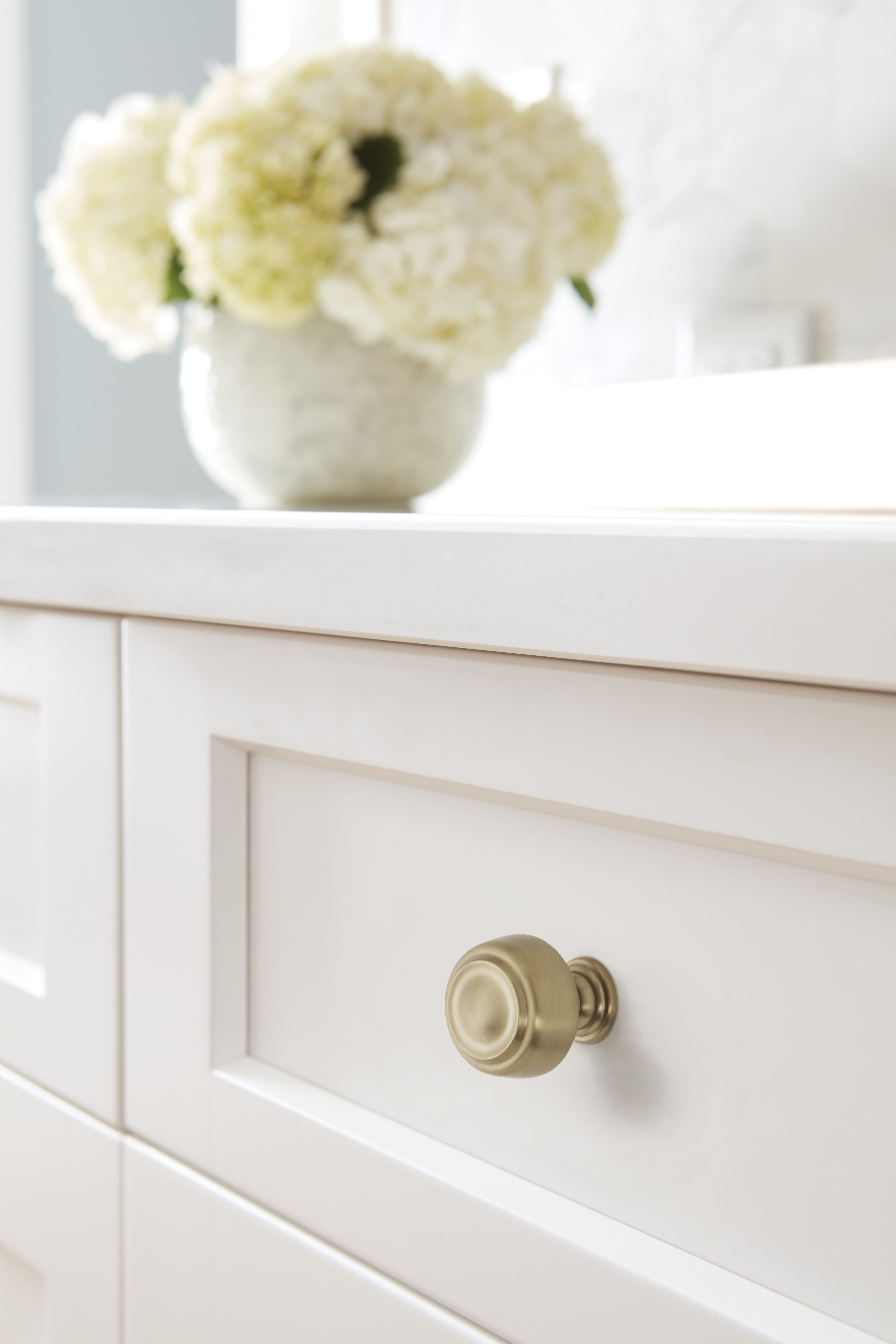 Amerock Lifestyle Golden-Champagne_Knob_Amerock_Cabinet-Hardware_Kane_BP538072BBZ_Lifestyle_Kitchen_19-1