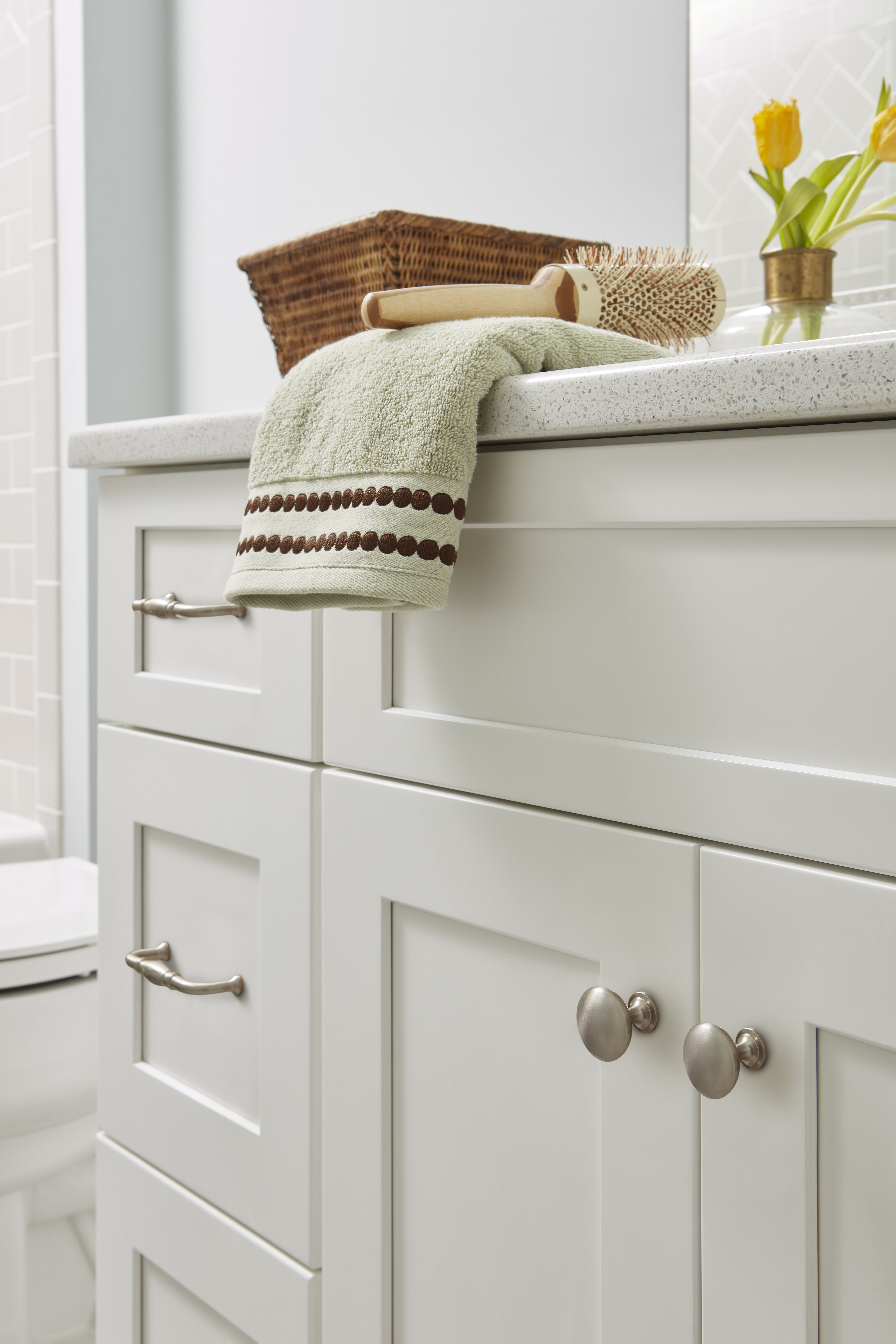 Amerock Lifestyle Satin-Nickel_Knobs_Allison-by-Amerock_Cabinet-Hardware_Edona_BP53005G10_Bath_20_3